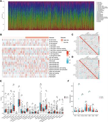 Role of an Exosomes-Related lncRNAs Signature in Tumor Immune Microenvironment of Gastric Cancer